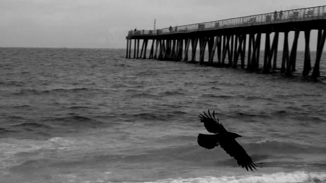 A crow in flight over rough water beside a pier.